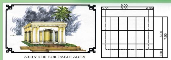 Family Estate architectural illustration and 5 by 6 meter buildable area plan